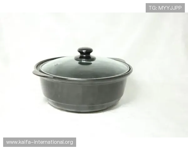 掌握凯发国际平台首页网址查询技巧,轻松应对网址变更与访问困难问题 掌握凯发国际平台首页网址查询技巧,轻松应对网址变更与访问困难问题